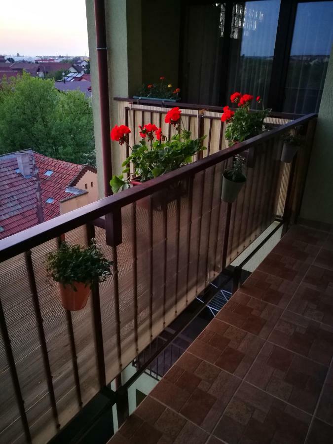 The Green House Αράντ Εξωτερικό φωτογραφία